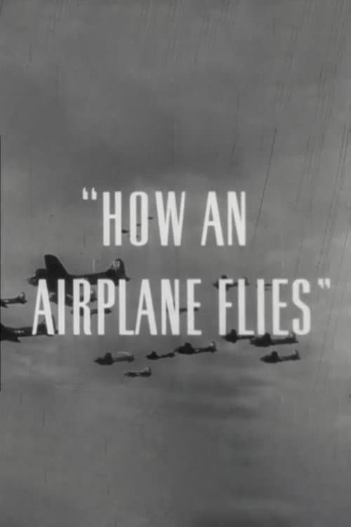 Poster for How An Airplane Flies