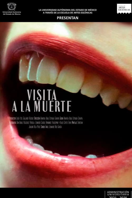 Poster for Visit to Death