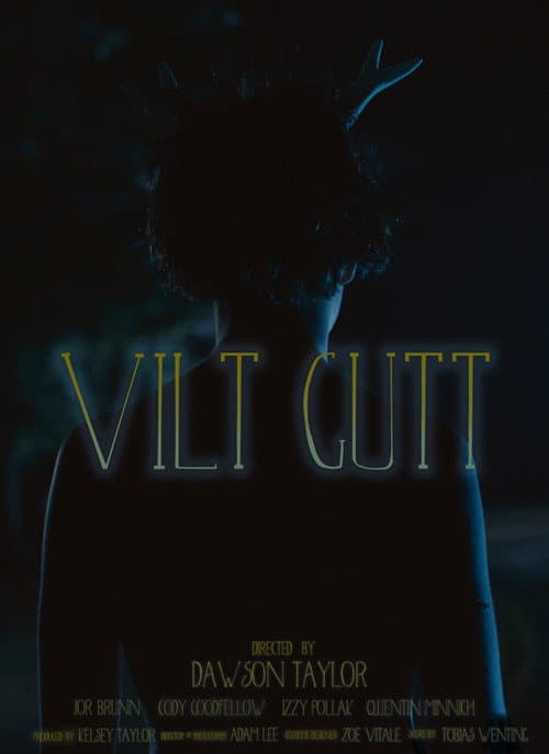 Poster for Vilt Gutt
