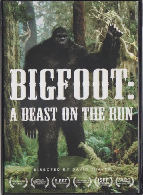 Poster for Bigfoot: A Beast on the run