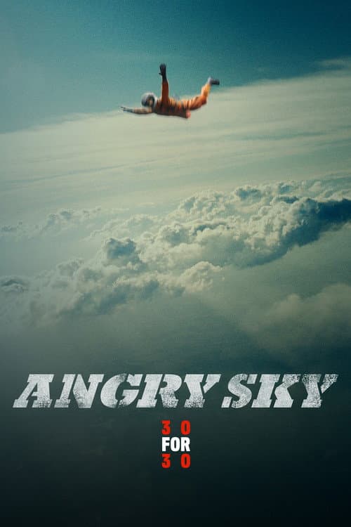 Poster for Angry Sky