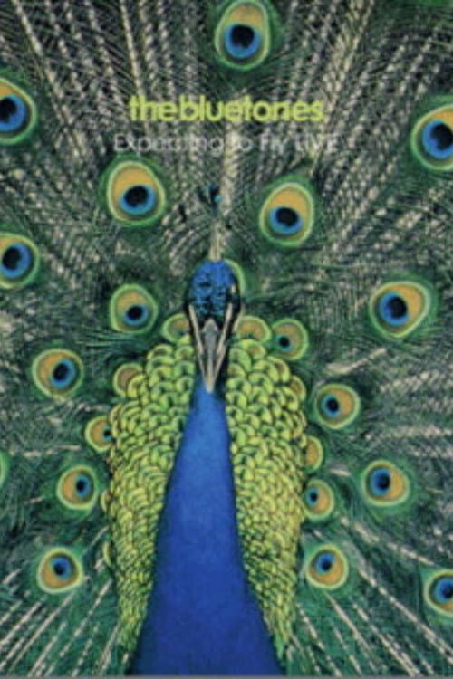 Poster for The Bluetones: Expecting To Fly Live