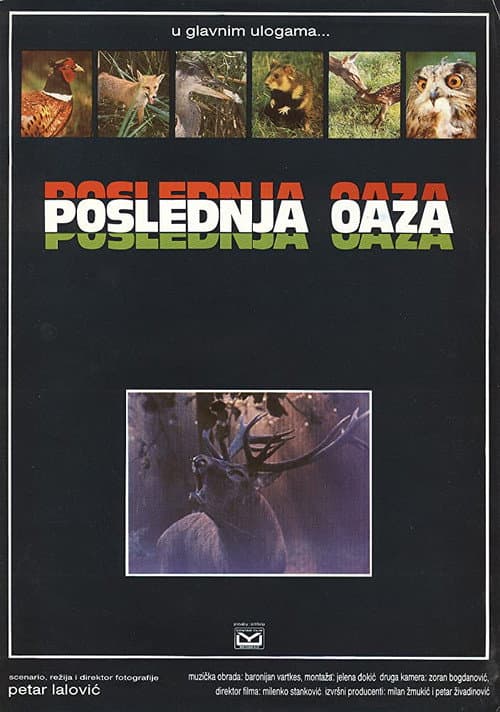 Poster for The Last Oasis