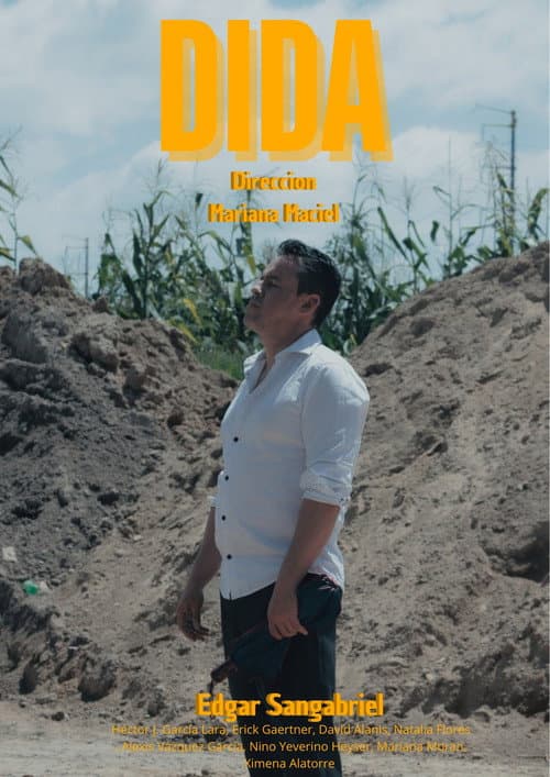 Poster for DIDA
