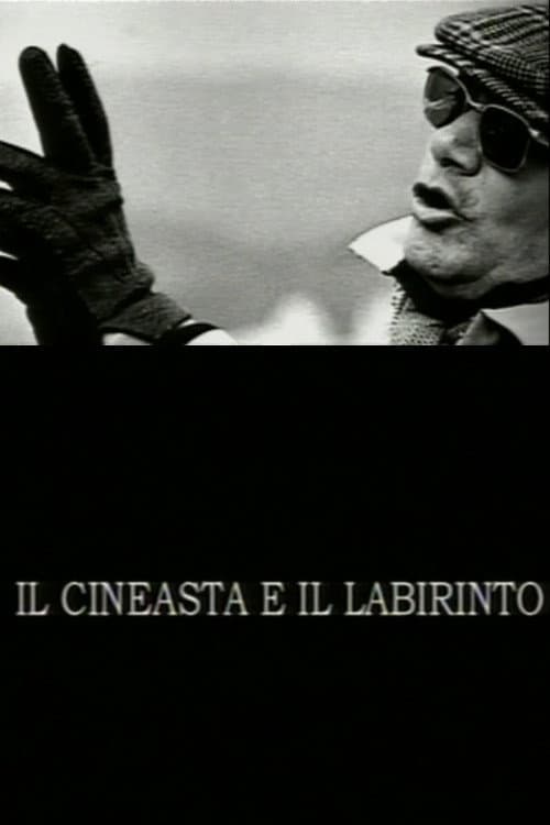 Poster for The Filmmaker and the Labyrinth