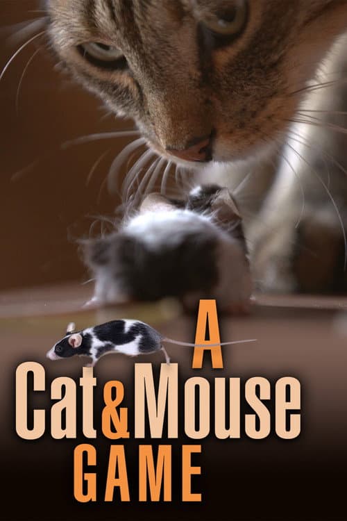 Poster for A Cat and Mouse Game