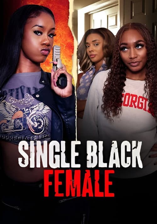 Poster for Single Black Female