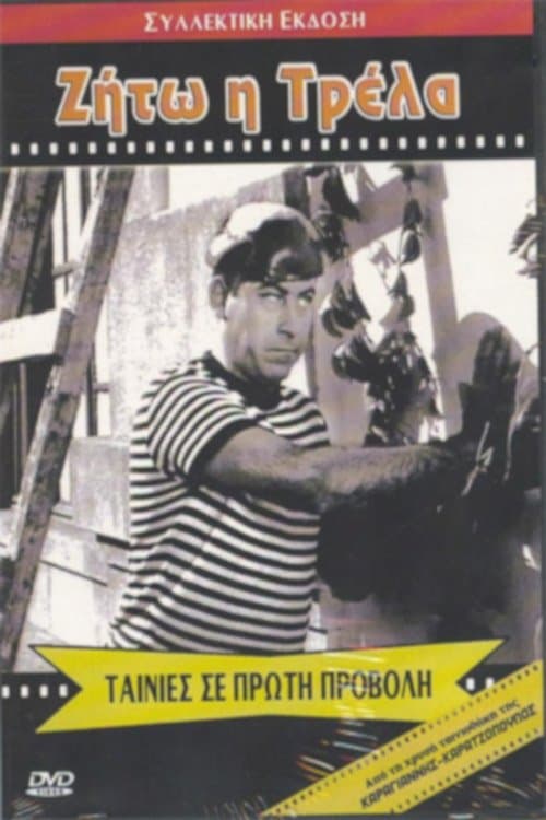 Poster for Hooray for Madness