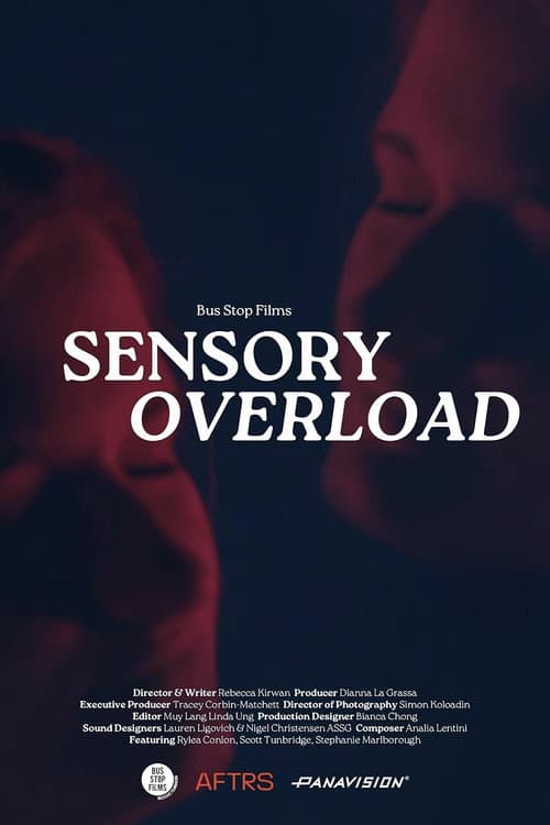 Poster for Sensory Overload