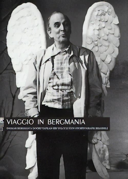 Poster for Viaggio in Bergmania