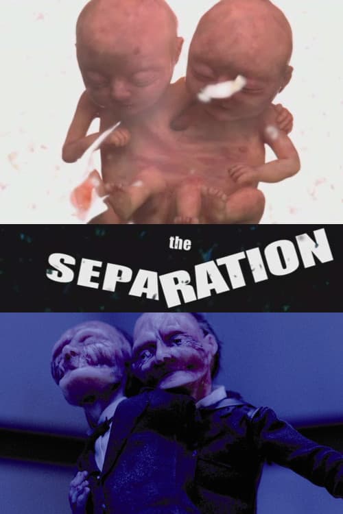 Poster for The Separation