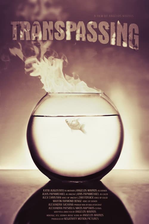 Poster for Transpassing