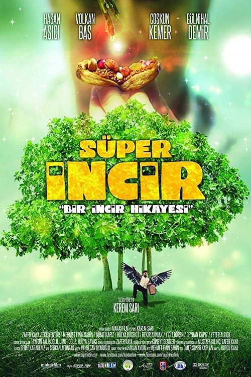 Poster for Super Fig