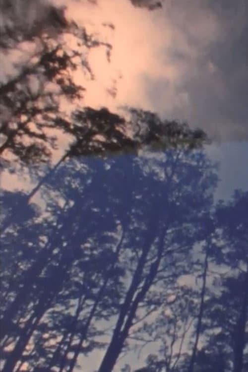 Poster for Wilderness: A Country in the Mind