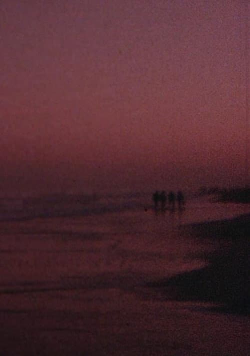 Poster for Through the Ruins