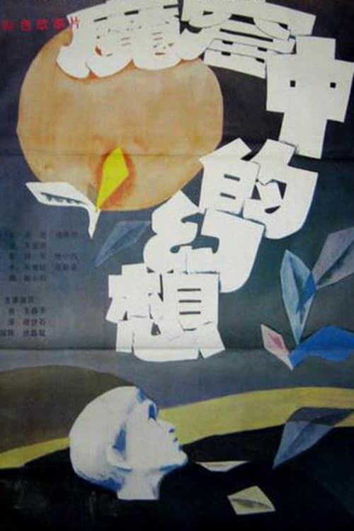Poster for Visions from a Jail Cell