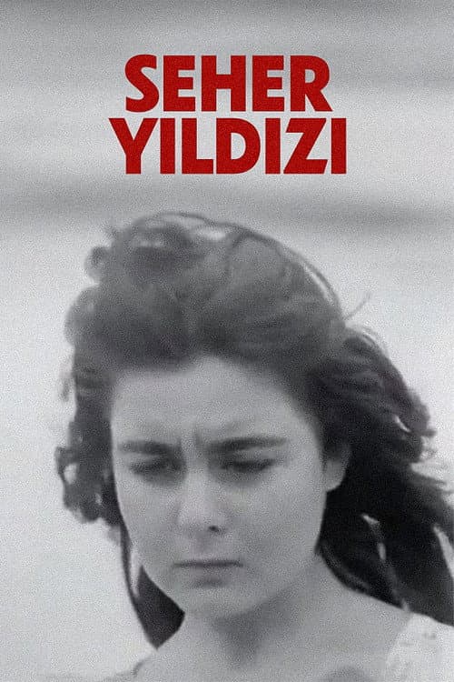 Poster for Seher Yıldızı