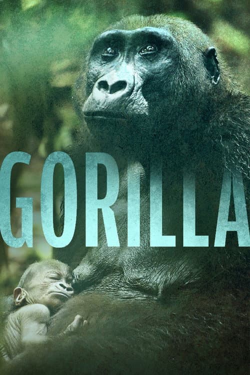 Poster for Gorilla