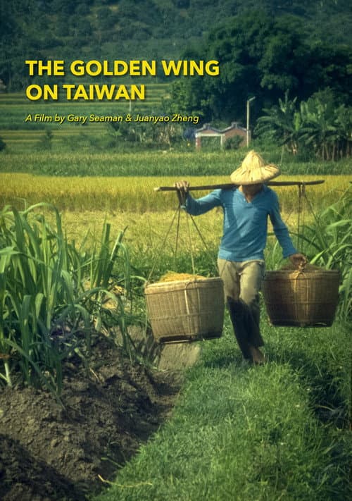 Poster for The Golden Wing on Taiwan