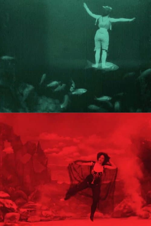 Poster for The Dancer's Dream