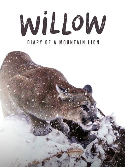 Poster for Willow: Diary of a Mountain Lion