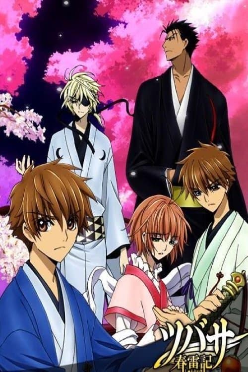 Poster for Tsubasa Chronicle: Shunraiki