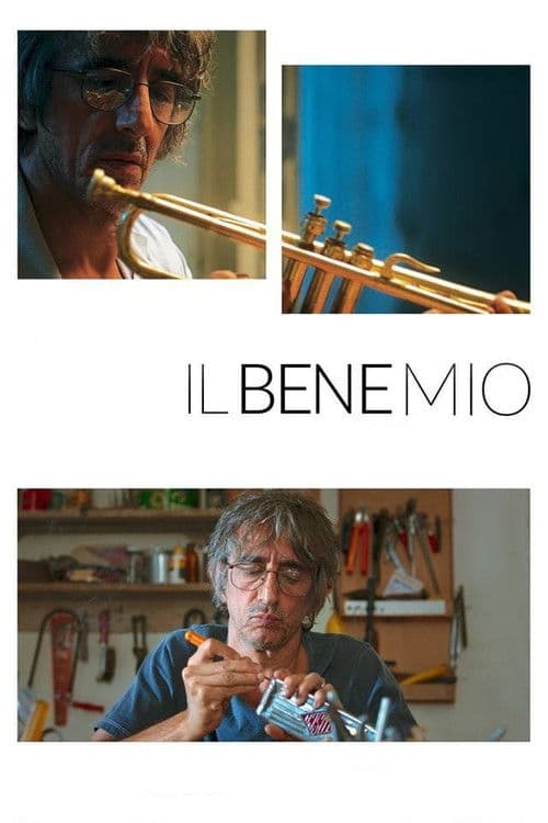 Poster for Il bene mio
