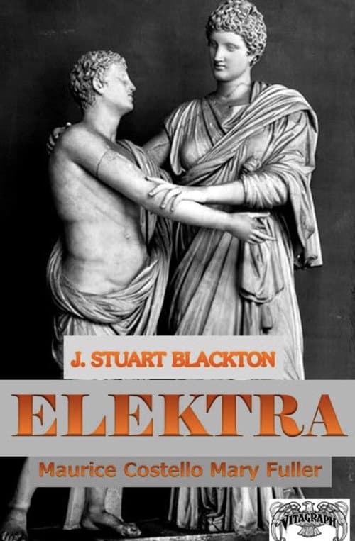 Poster for Elektra