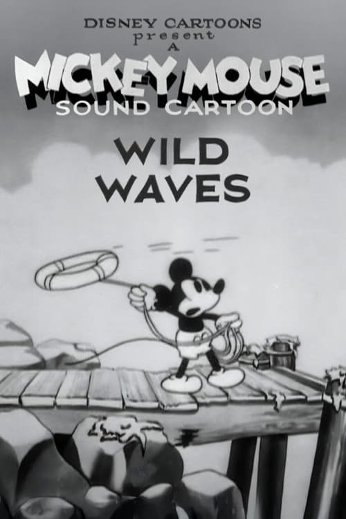 Poster for Wild Waves