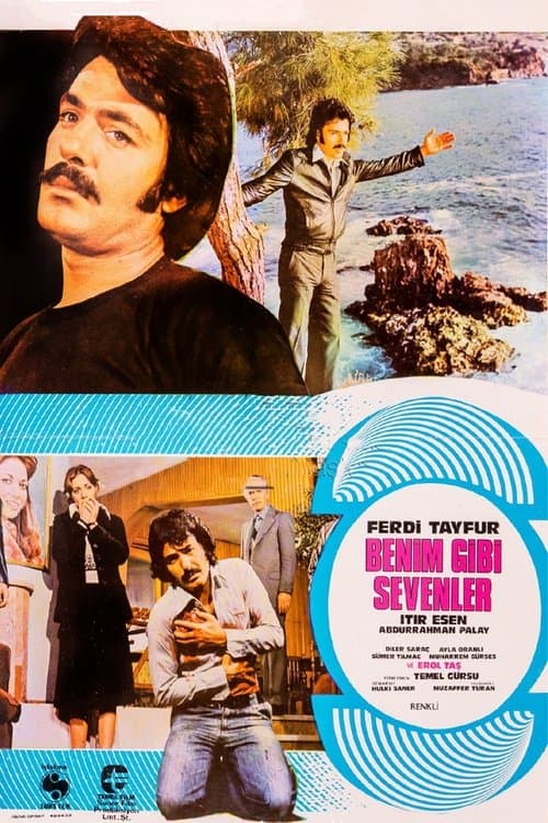 Poster for Benim Gibi Sevenler