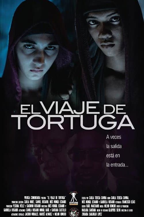 Poster for El viaje de Tortuga