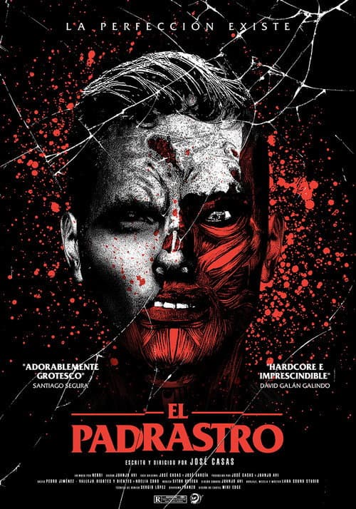 Poster for The Skin