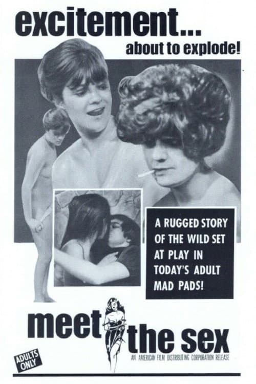 Poster for Meet The Sex