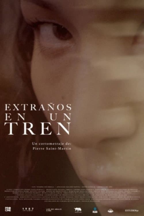 Poster for Extraños en un tren