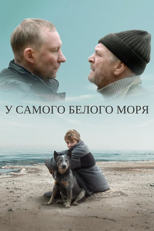 Постер до фільму «У самого Білого моря»