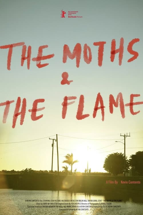 Poster for The Moths & the Flame