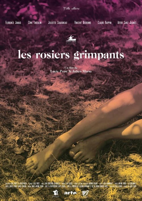 Poster for The Climbing Roses