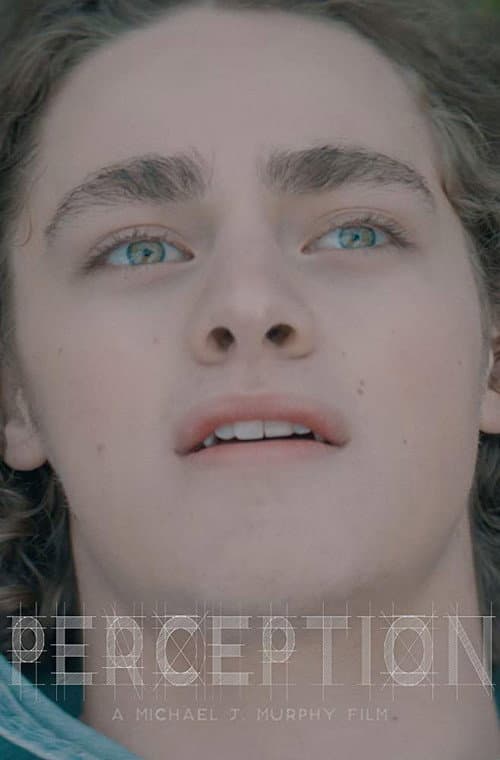 Poster for Perception