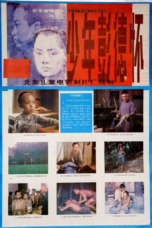 Poster for 少年彭德怀