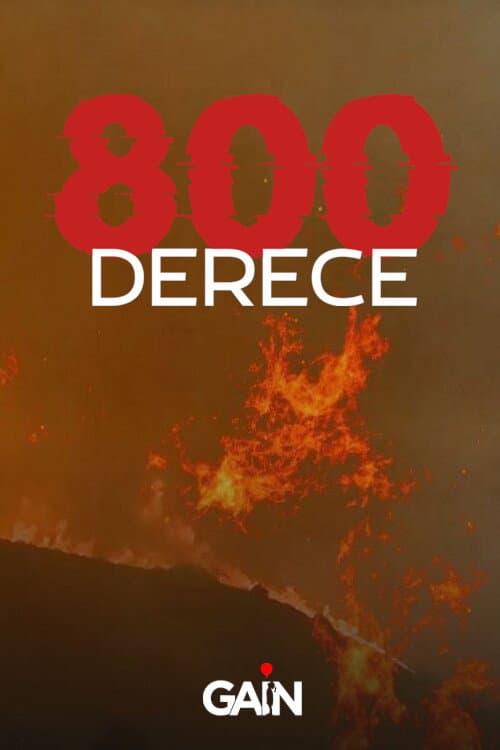 Poster for 800 Derece