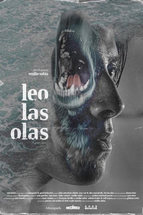 Poster for Leo las olas