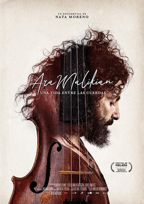 Poster for Ara Malikian: una vida entre las cuerdas