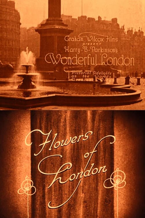 Постер до фільму «Wonderful London: Flowers of London»