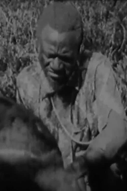 Poster for O Kimbanda Kambia