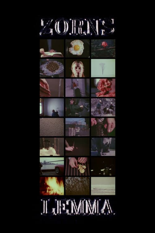 Poster for Zorns Lemma