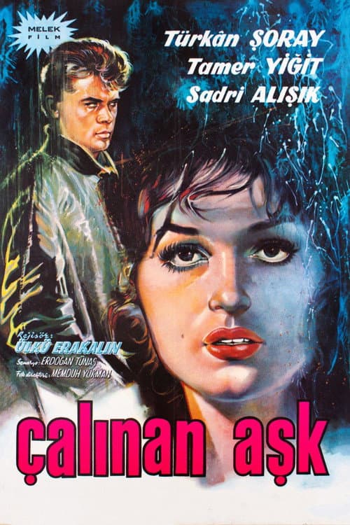 Poster for The Stolen Love
