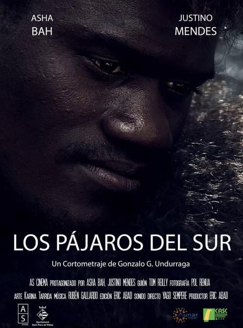 Poster for Los Pájaros del Sur
