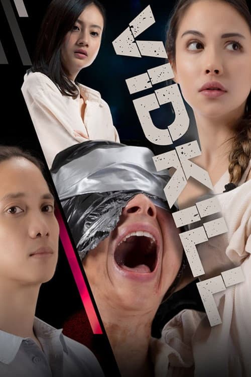 Poster for Vidkill