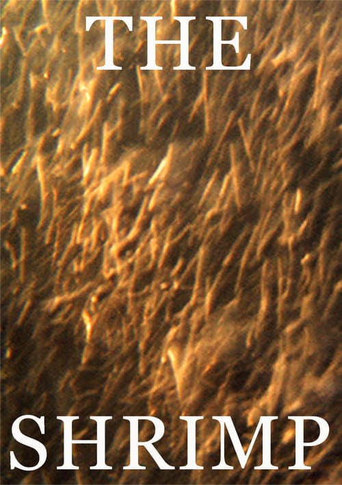 Poster for The Shrimp