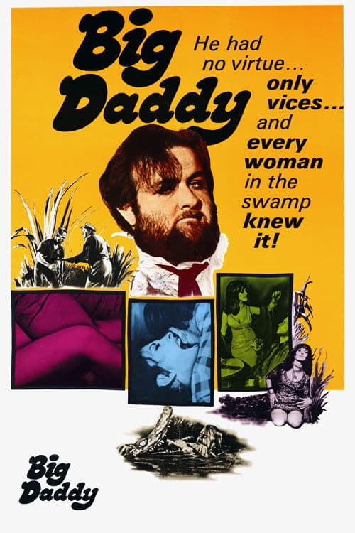 Poster for Big Daddy